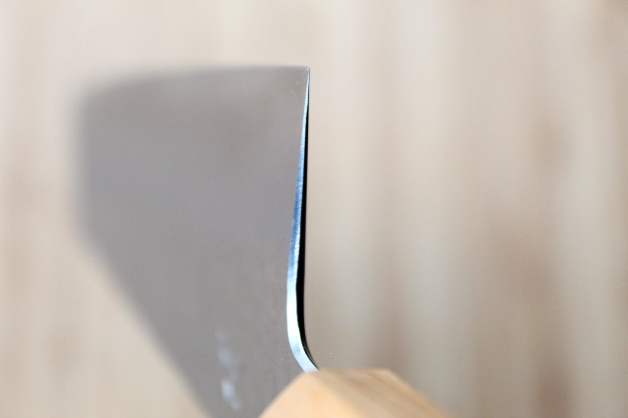 Hado Shiosai SG2 Powdered Stainless 210mm Kengata Gyuto - Olive Wood Handle