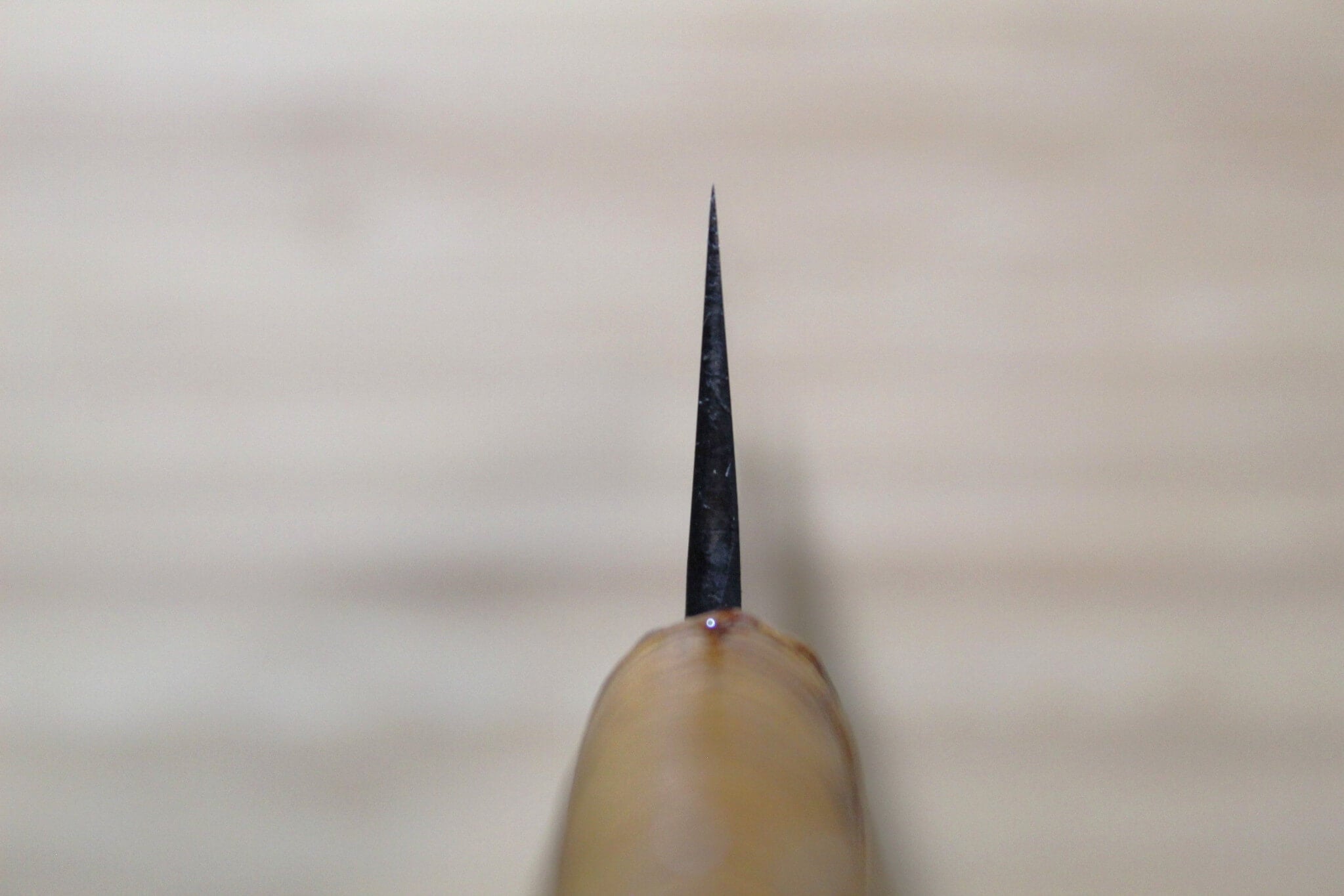 Kyokokaji Shokei Shironiko Kurouchi Kiritsuke 170 mm / 6.7" Fujimaki Handle