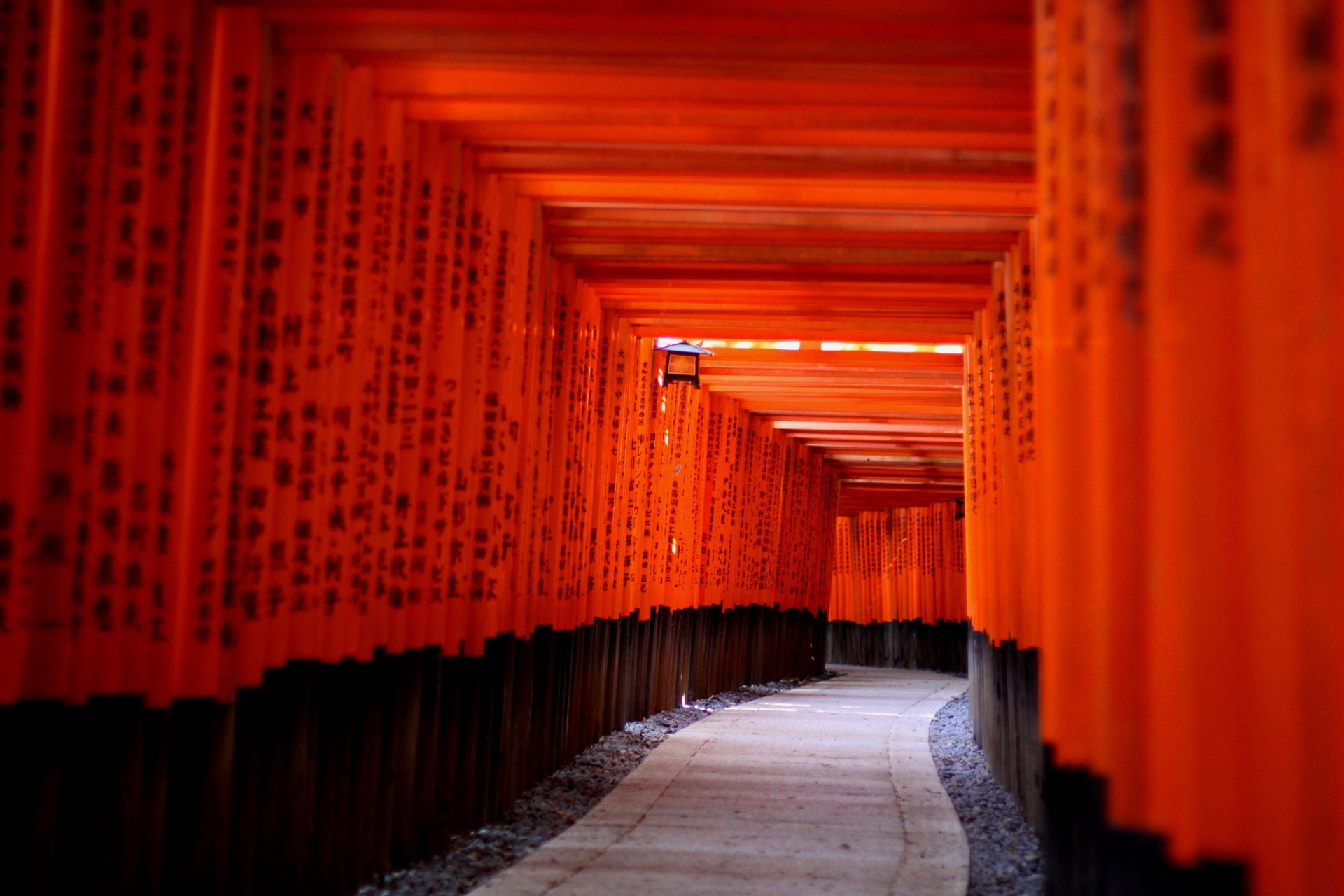 Kyoto Shrine
