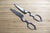 Forged Kitchen Scissors with Paulownia Box