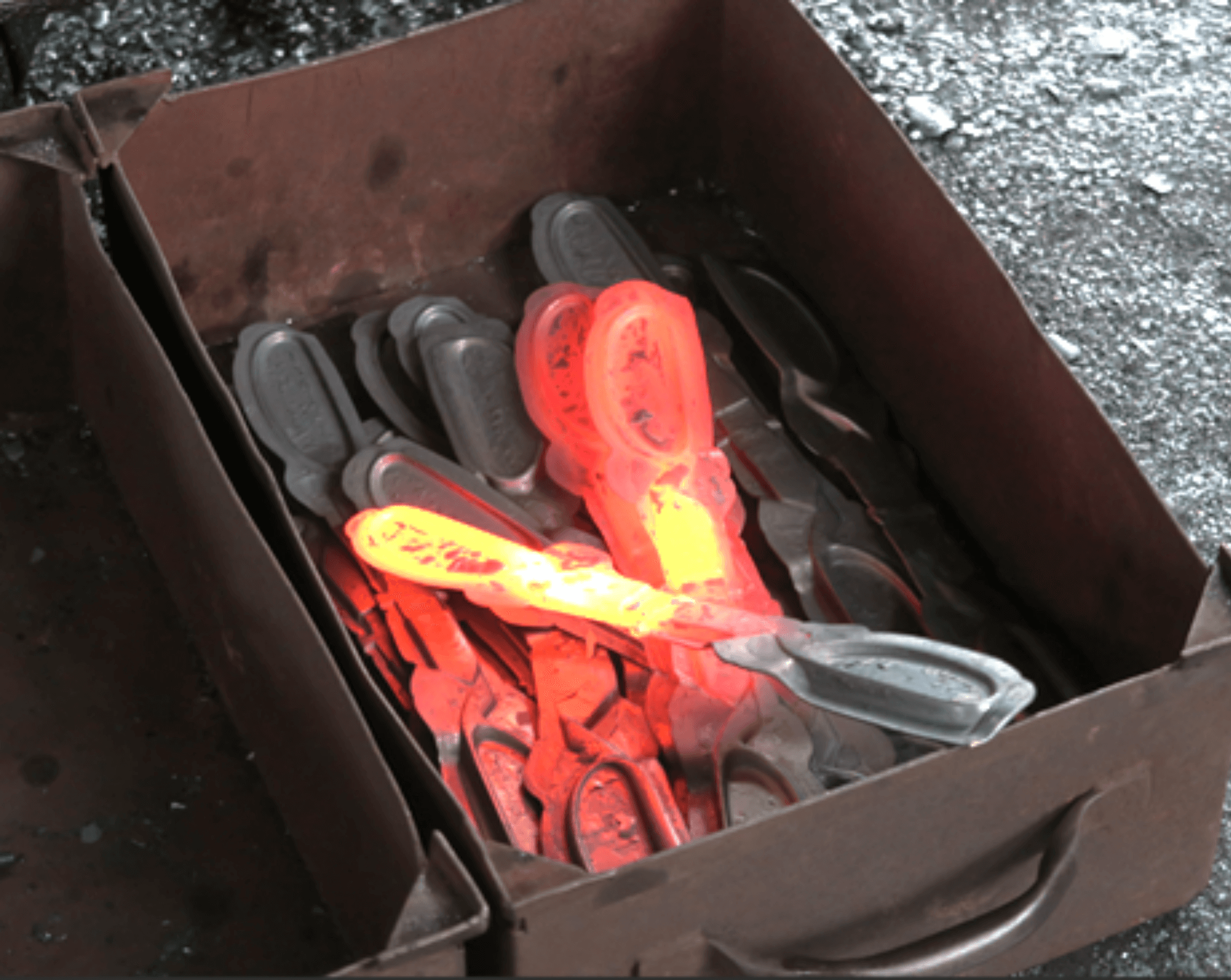 Forged Kitchen Scissors with Paulownia Box