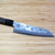 Fujita_Marunoko_Sakura_etched