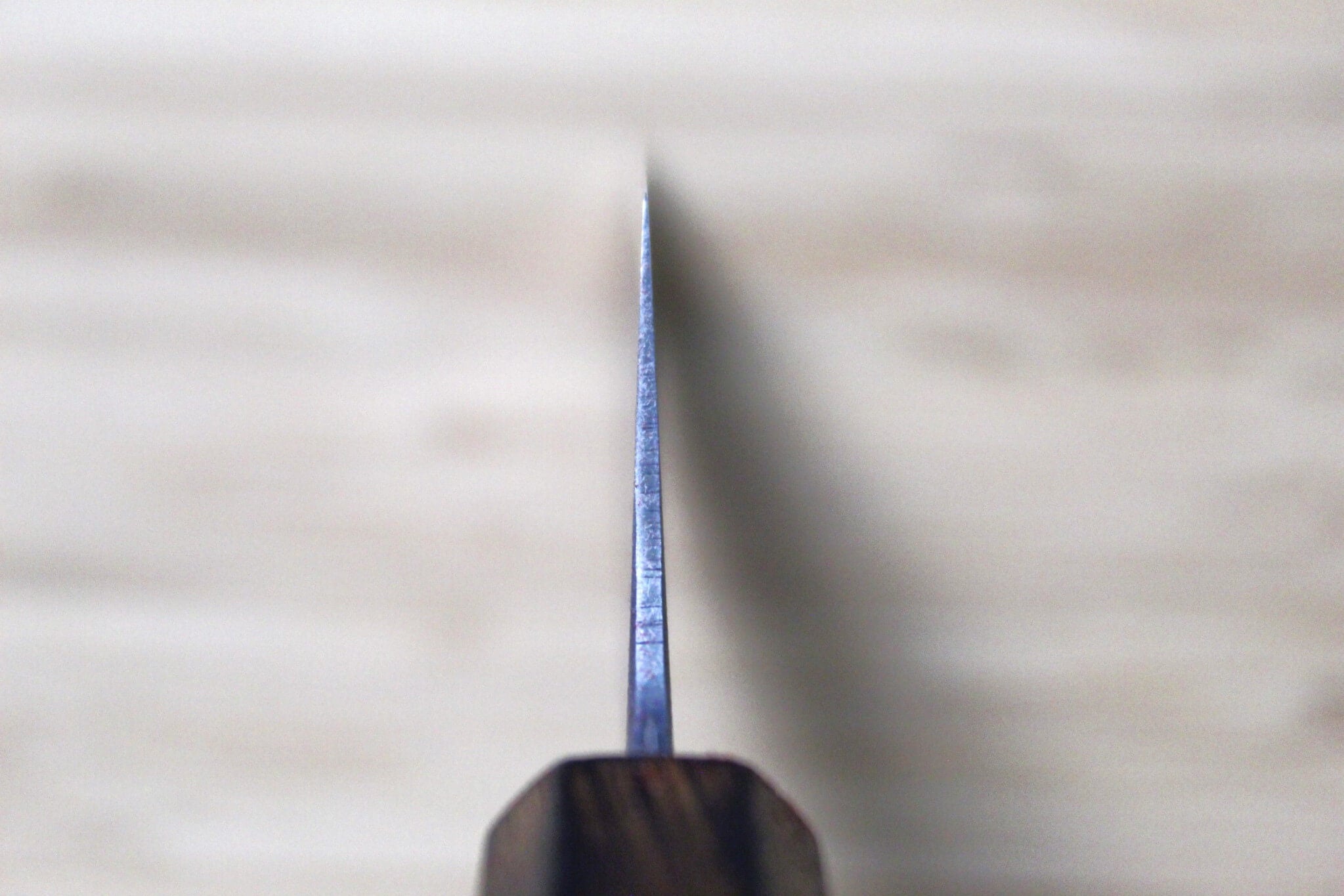 Sakai Takayuki Baikoku Shironiko / White Steel #2 Santoku Knife 180mm / 7.1" Burnt Oak Handle