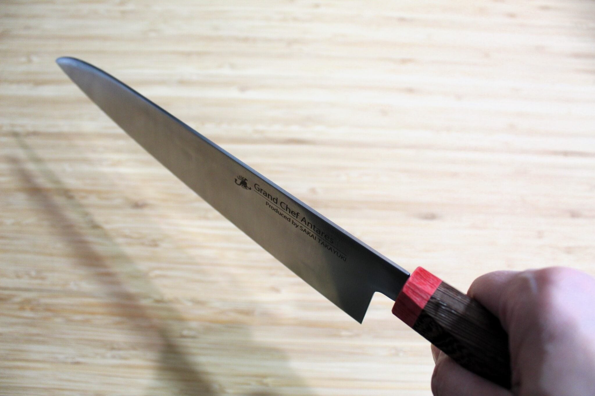 Grand Chef Antares 240mm (9.4") Gyuto Japanese Chef Knife