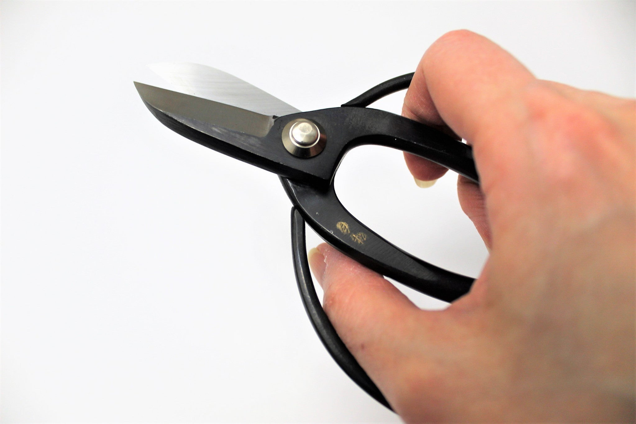 Gardening Tools - Japanese Garden Scissors High Carbon Steel 165 Mm (6.4") Koryu