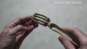 Japanese Fish Scaler / Urokotori with Brass